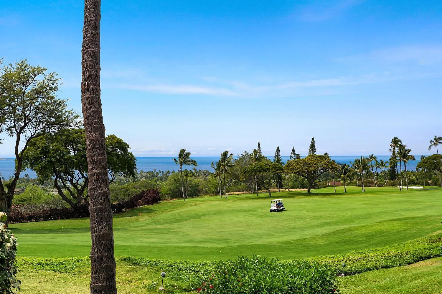 Country Club Villas#316 Καϊλούα-Κόνα 0*,